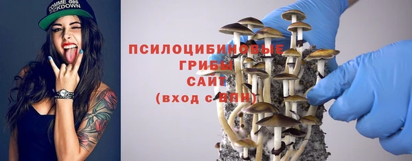 гидропоника Алексеевка