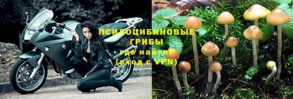 ешки Алексин