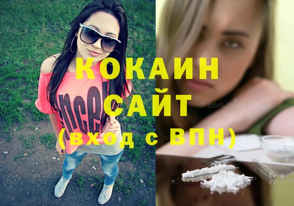 ешки Алексин