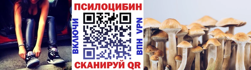 Галлюциногенные грибы Cubensis  где продают наркотики  Богородск 