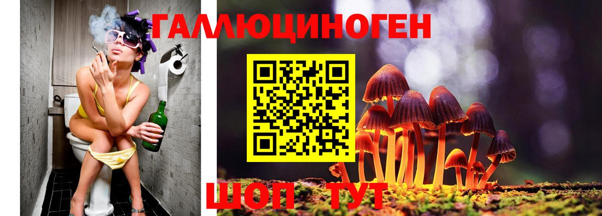 Псилоцибиновые грибы мухоморы Богородск