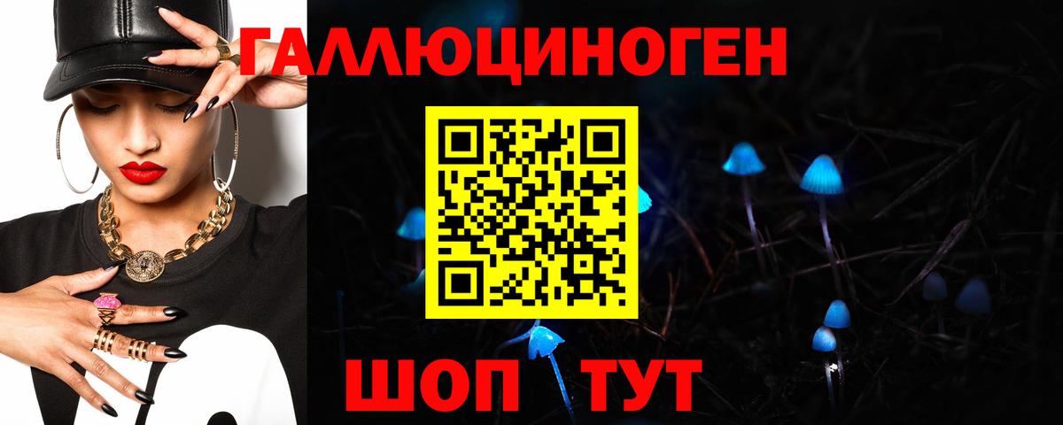 Богородск  Псилоцибиновые грибы Psilocybe  Вход с VPN 